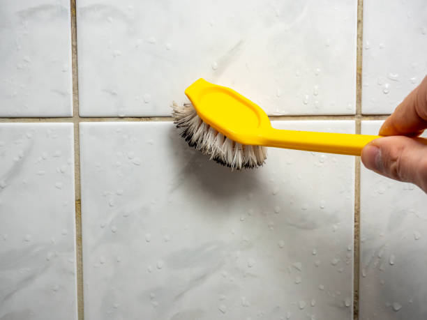 Best Fast Mold Removal  in Southmayd, TX