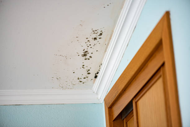 Water Damage Restoration in Southmayd, TX